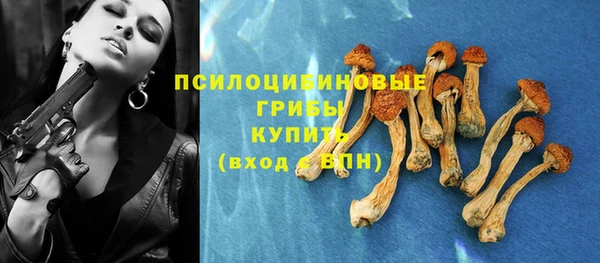 шишки Алексеевка