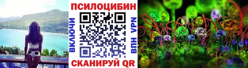 Галлюциногенные грибы Psilocybe  Апшеронск 